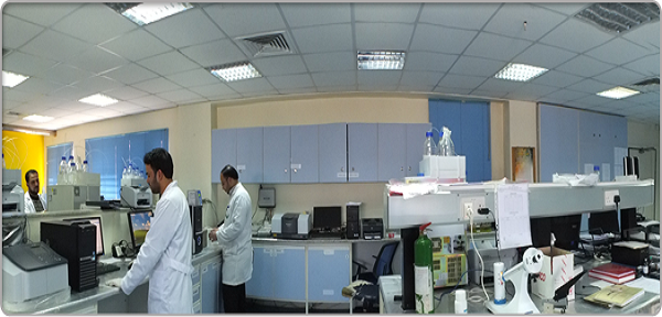 R&D in AAL